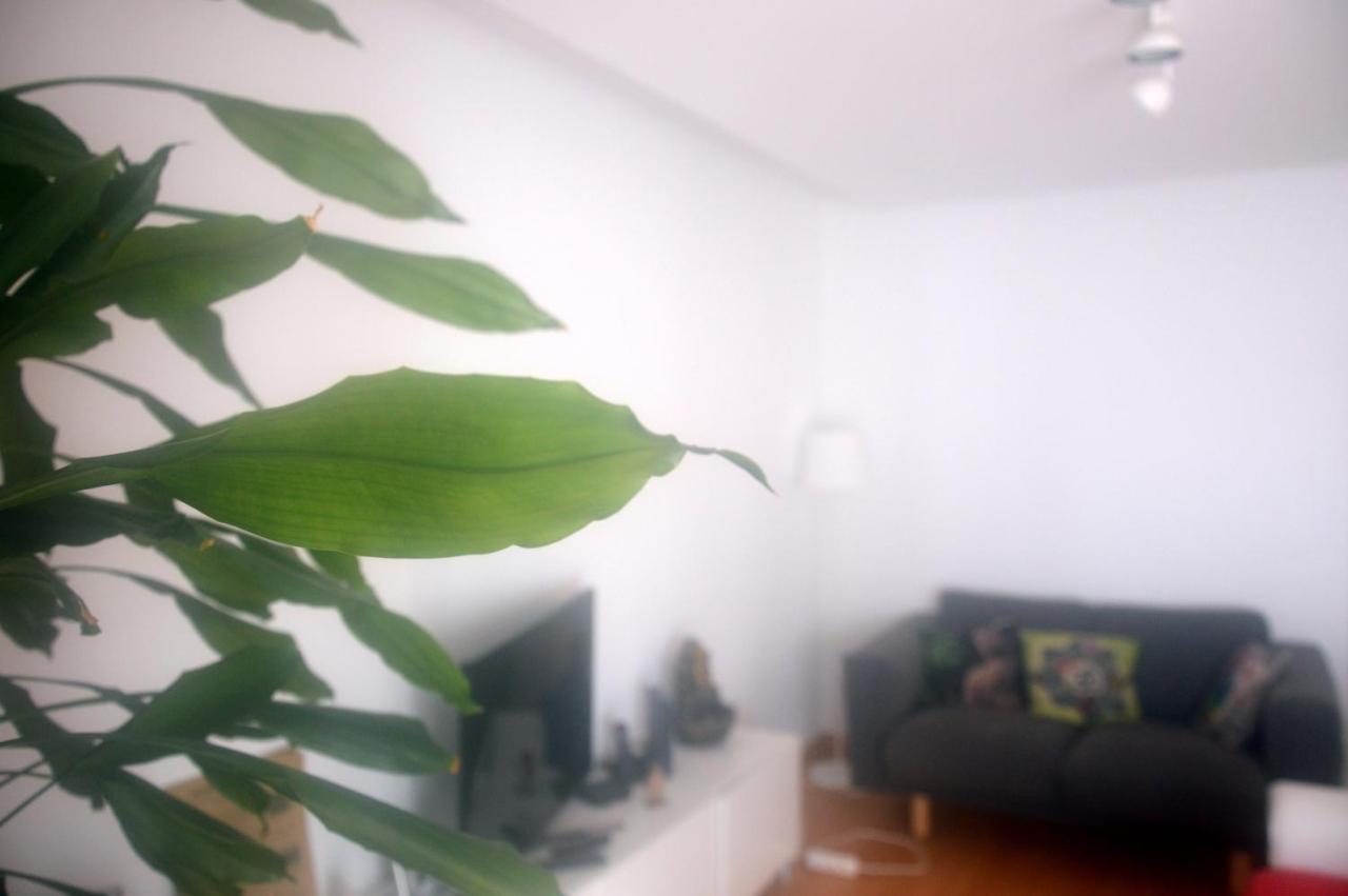 Sol No Horizonte - At Apartment Ericeira Ngoại thất bức ảnh